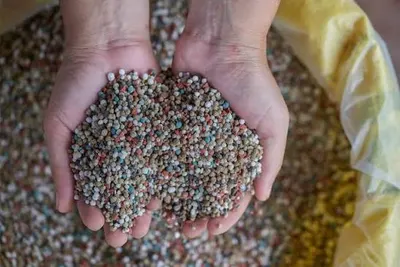 NPK fertilizer (Nitrogen + Phosphorus type NP fertilizer)