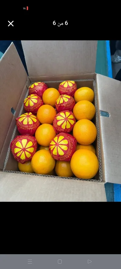 Egyptian Fresh Orange – Premium Quality - Image 2