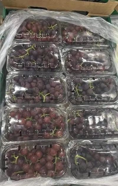 Grapes