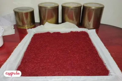 negin sargol saffron
