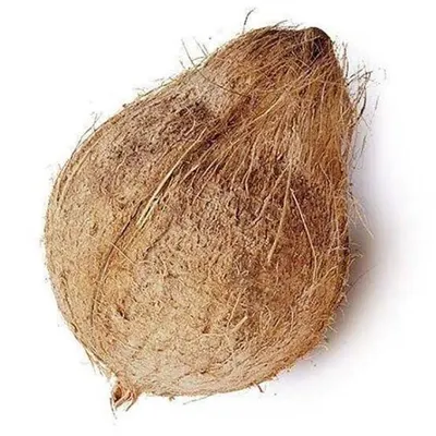 COCONUT SEMI- HUSKED - Image 3