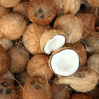COCONUT SEMI- HUSKED - Image 2