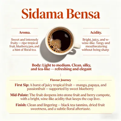 Sidama Bensa Espresso Base – Medium Roast, G1, Tropical Fruit & Black Tea Complexity coffee bean - Image 2