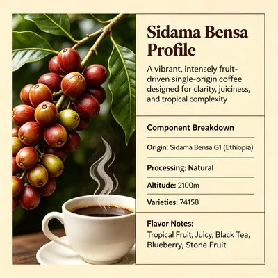 Sidama Bensa Espresso Base – Medium Roast, G1, Tropical Fruit & Black Tea Complexity coffee bean by Zhanjiang Yinor International Trade Co., Ltd.