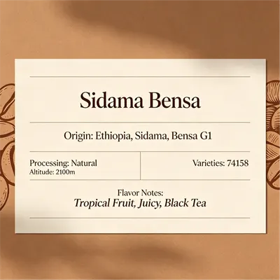 Sidama Bensa Espresso Base – Medium Roast, G1, Tropical Fruit & Black Tea Complexity coffee bean - Image 8