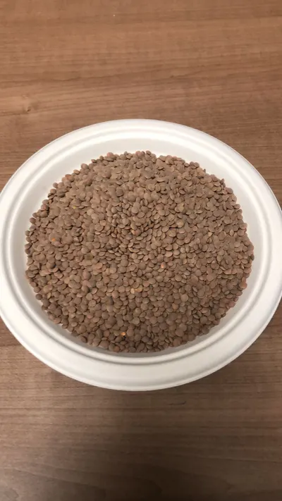Export Quality Lentils and Chickpeas - Image 3