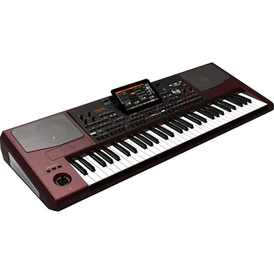 Korg Pa1000 61-Key Pro Arranger with Speakers by Tunaisshiaong Electronics Co,Ltd