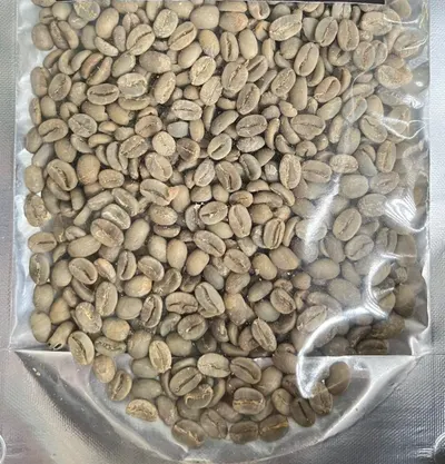 Arabica Greenbean Coffee by PT Komoditas Niaga Indonesia