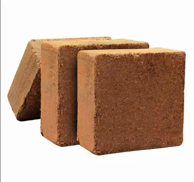 Export Grade Cocopeat Growing Medium
