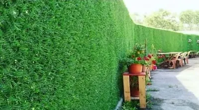 High Quality Grass Wire Fence - Image 4