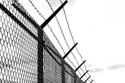 High Quality Barbed Wire - Image 4