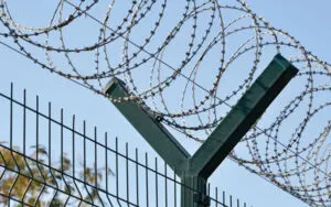 High Quality Razor Wire - Image 3