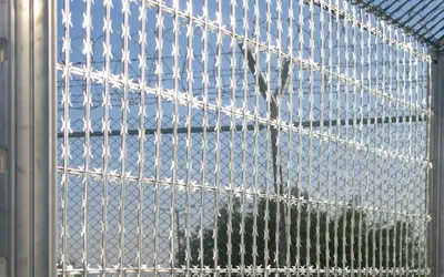 High Quality Razor Wire - Image 4