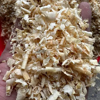 KMI PINE WOOD SHAVINGS for Animal Bedding - Origin Vietnam - Bulk Supply