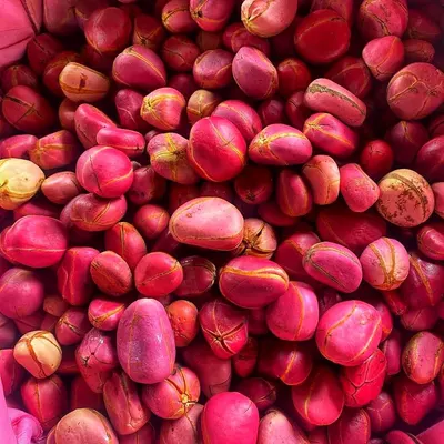 Nigerian Fresh and Dried Kolanuts