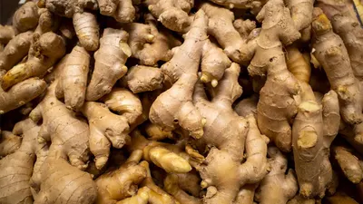Fresh and Dried Ginger Rhizomes - Image 3