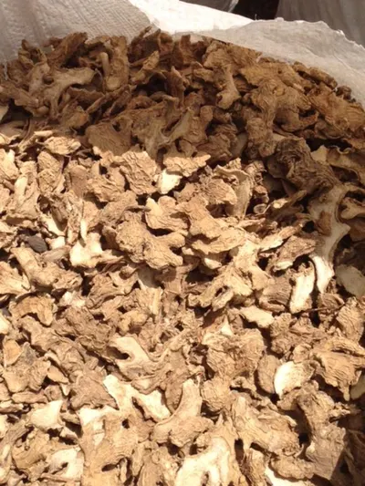 Fresh and Dried Ginger Rhizomes - Image 2