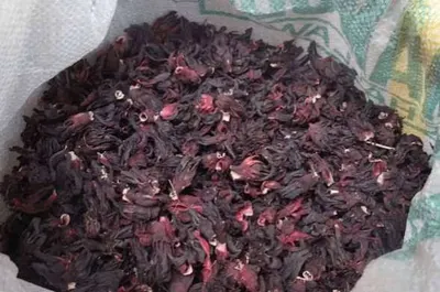 Dried Hibiscus Flowers for Tea and Extracts - Image 3