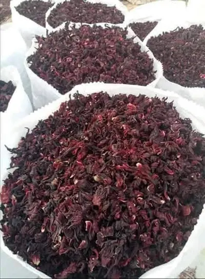 Dried Hibiscus Flowers for Tea and Extracts - Image 2