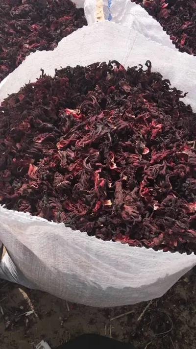 Dried Hibiscus Flowers for Tea and Extracts