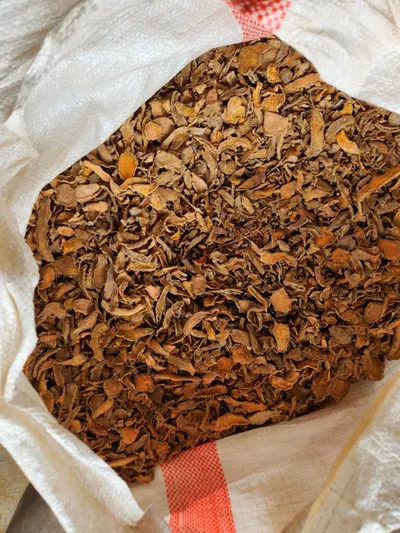 Premium Dried Turmeric Rhizomes for Export - Image 2