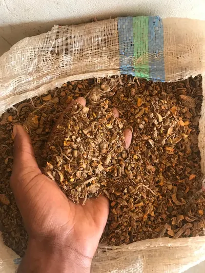 Premium Dried Turmeric Rhizomes for Export