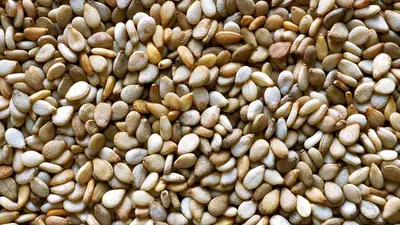 Premium Natural Sesame Seeds for Export - Image 4