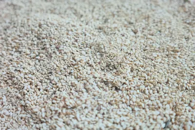 Premium Natural Sesame Seeds for Export