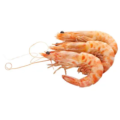 Frozen Seafood – Shrimp, Prawns, Fish & Mixed Seafood