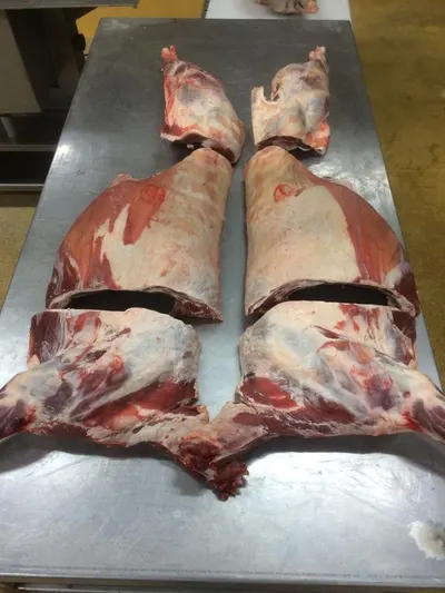 Frozen Lamb Mutton Meat