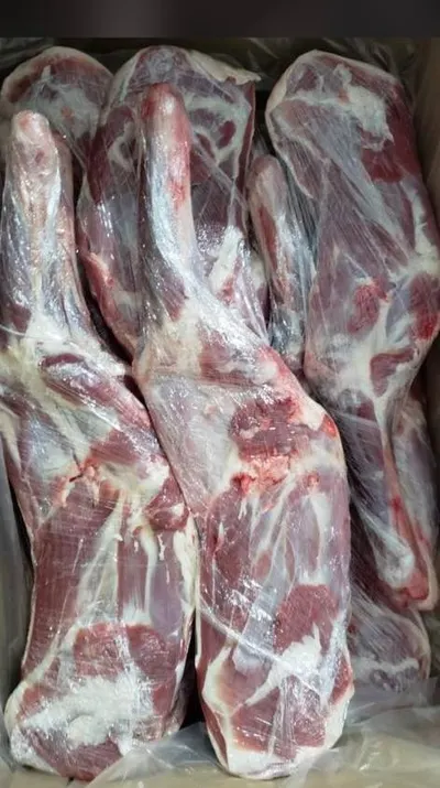 Frozen Lamb Mutton Meat - Image 3