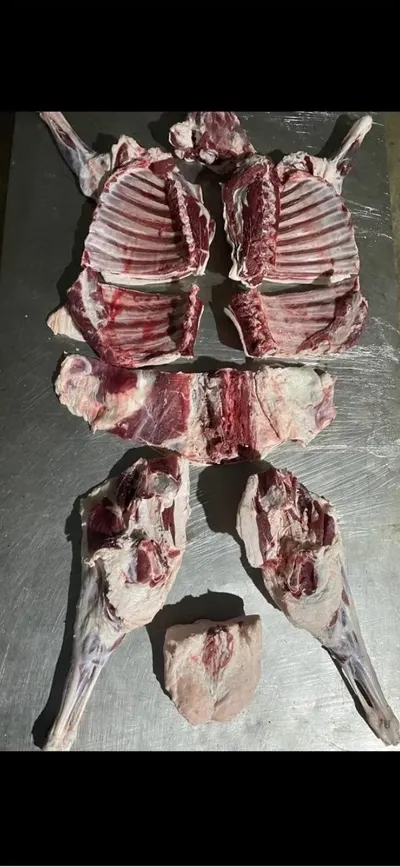 Frozen Lamb & Mutton Meat Cut&Package - Image 4