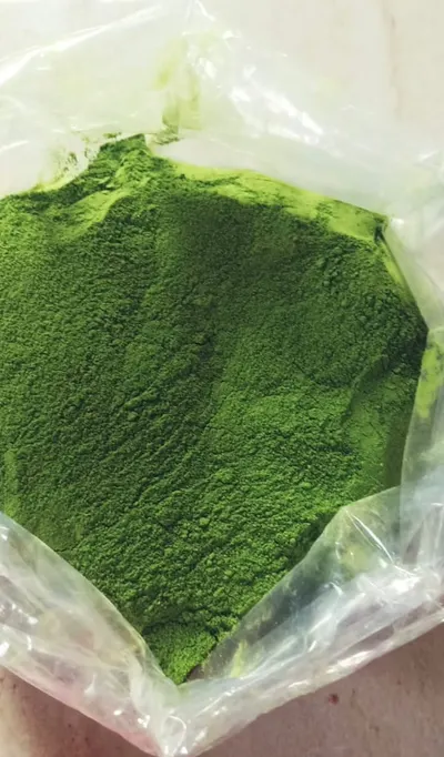 Premium Dried Moringa Leaf Powder - Image 3