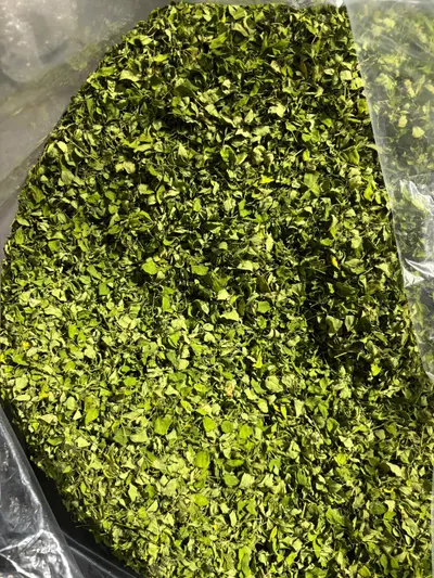 Premium Dried Moringa Leaf Powder - Image 2