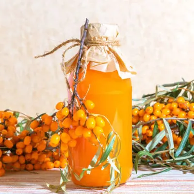 Sea Buckthorn Pulp for Food Processing - Image 2