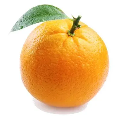 Fresh Export Grade Oranges by CropNexa