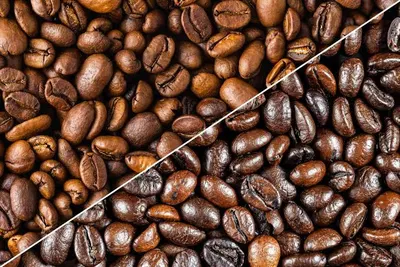 Robusta and Arabica Coffee by A.A Warsaw Company Sp.z.o.o