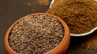 Premium Whole Cumin Seeds for Export - Image 2
