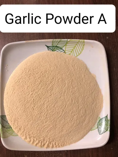 Premium Dehydrated Garlic Powder by Joshi Foods and Spices
