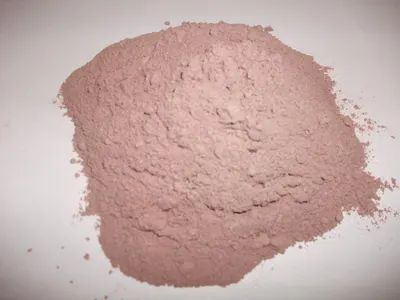 Dehydrated Red Onion Powder by Joshi Foods and Spices