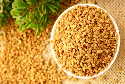 Premium Whole Fenugreek Seeds for Export by Joshi Foods and Spices