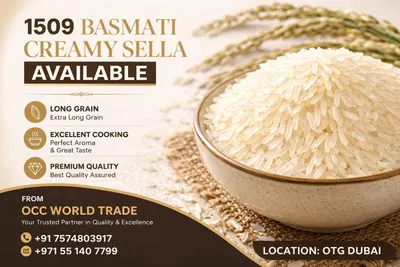 Basmati / Non Basmati Rice - Image 3