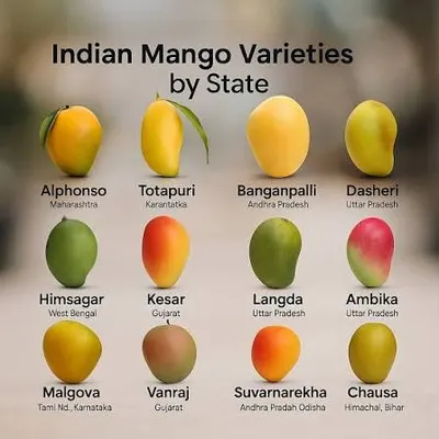 Mango - Image 3
