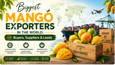 Mango - Image 4