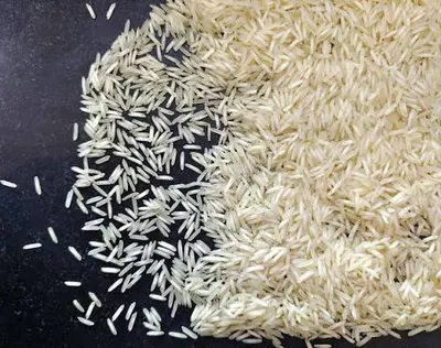 1121 Basmati Rice for Export by Sahibzada Furqan's Company