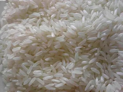 Premium Non Basmati Rice for Export by Sahibzada Furqan's Company