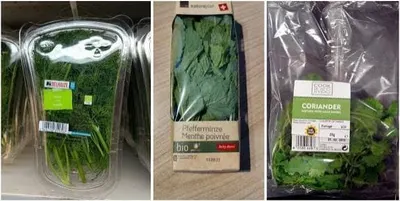 Basil, Chives, Corriander, Thymes, Rosemary - Image 3