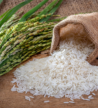 1121 Golden Sella Rice