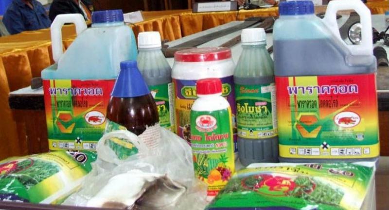 METAMAX B is a highly effective ORGANIC FERTILIZER WITH INSECTICIDAL FUNGI