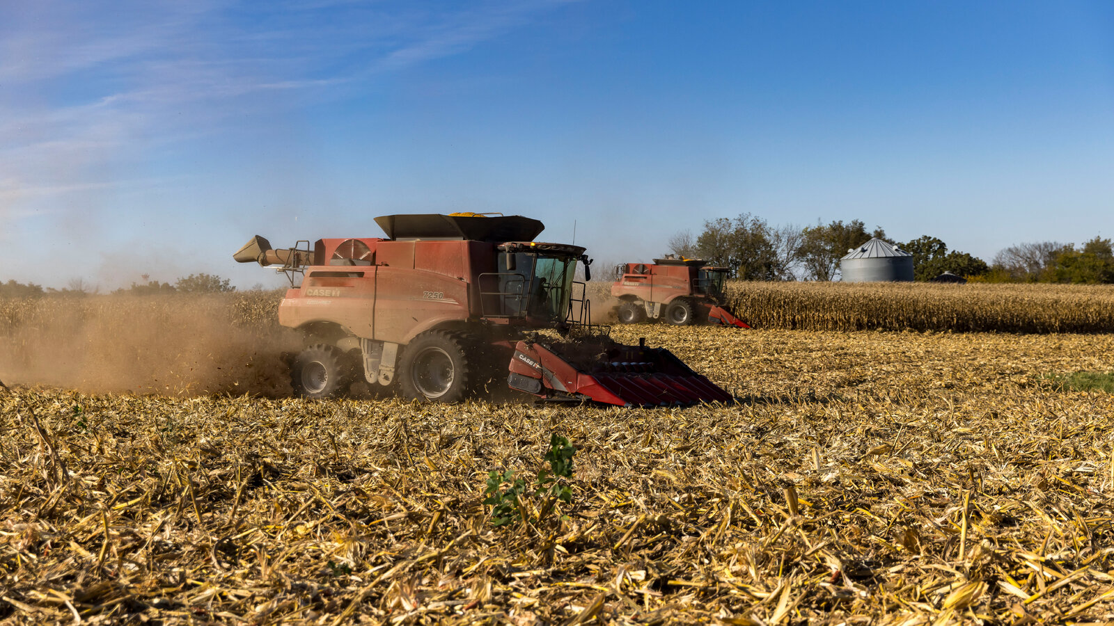 Potato Harvester